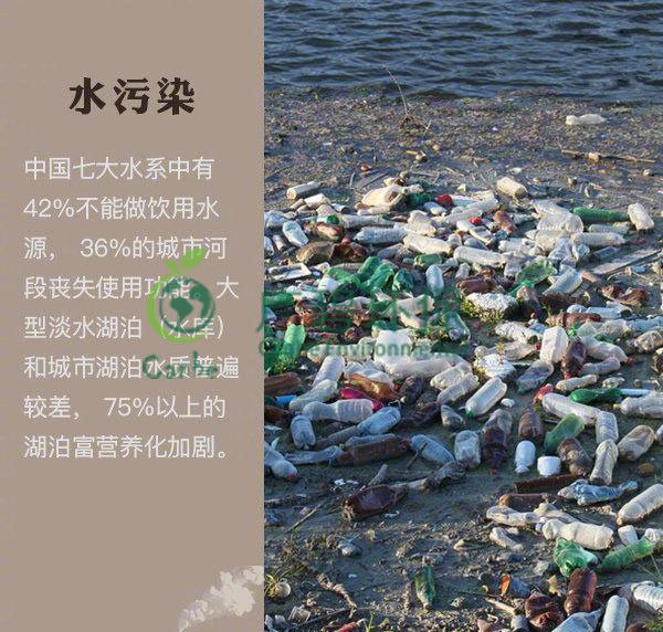 世界地球日 我們能為地球做些什么？(圖2)