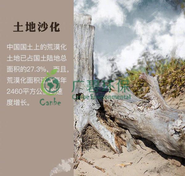 世界地球日 我們能為地球做些什么？(圖4)