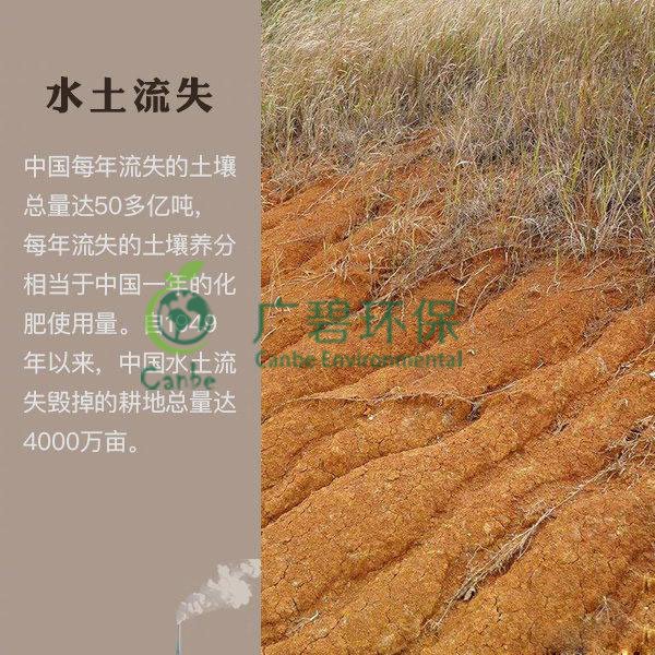 世界地球日 我們能為地球做些什么？(圖7)