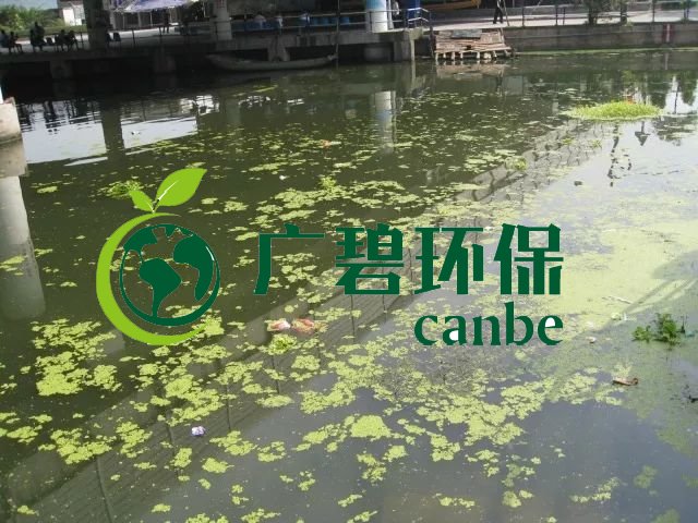 城市黑臭河道如何治理？河道黑臭水體治理思路(圖3)