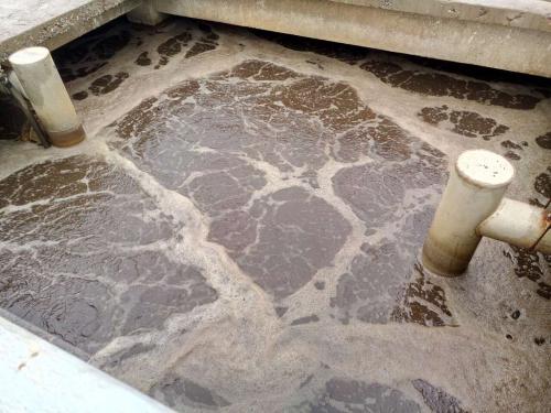 什么是制革廢水？制革廢水特點與處理工藝(圖1)