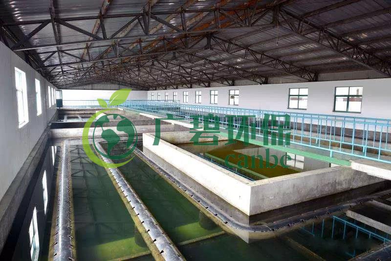 什么是制糖廢水？制糖廢水處理技術(shù)(圖1)