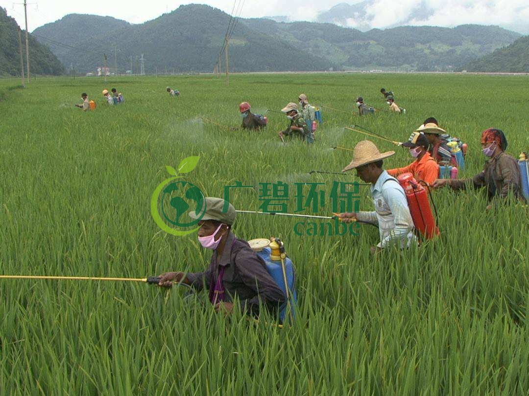 農(nóng)藥廢水是什么？農(nóng)藥廢水特點(diǎn)與處理工藝(圖1)