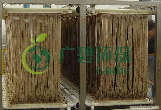 MBR污泥膨脹怎么處理？污泥膨脹的處理方法(圖1)