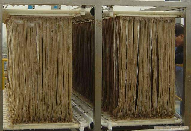 MBR膜如何選型？膜組件如何清洗？MBR知識分享