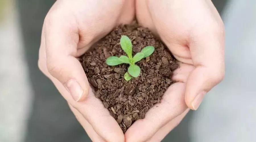 關(guān)于土壤污染修復(fù)，你了解多少？(圖1)