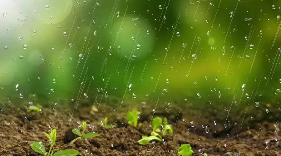 關(guān)于土壤污染修復(fù)，你了解多少？(圖2)