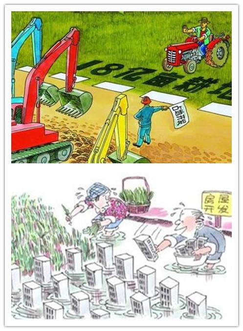 土壤侵蝕是什么？什么導致了土壤侵蝕？(圖3)