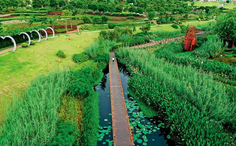 部分黑臭水體出現(xiàn)反彈，治理難在哪兒？