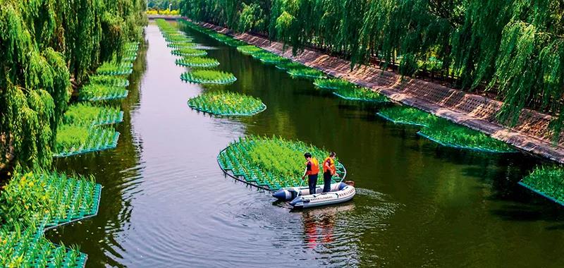 部分黑臭水體出現(xiàn)反彈，治理難在哪兒？(圖2)