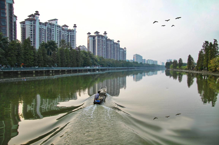 順德大良石洛涌、八坊涌整治見成效(圖1)